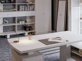 Кабинет Orfey